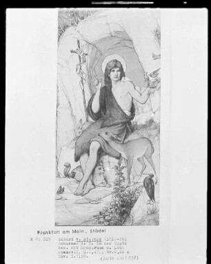 Johannes der Täufer in der Wüste von Tieren und Vögeln umgeben