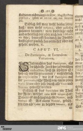Caput VI. De Participiis, & Eorundem Variatione.