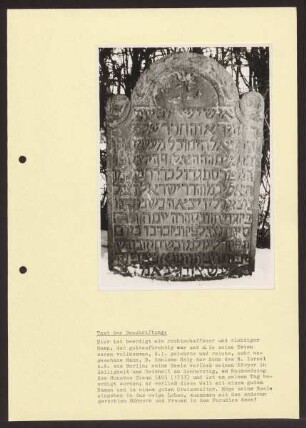 Jüdischer Grabstein mit Inschrift. Detmold. Spitzenkamptwete