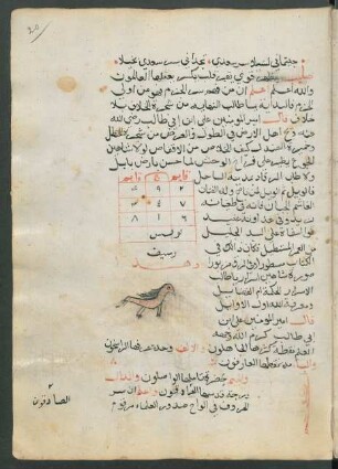Illustration: f. 20r-20v