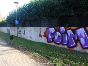 FoiM