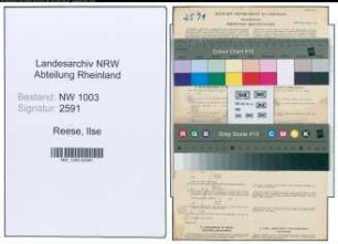 Entnazifizierung Ilse Reese , geb. 14.06.1913 (Sekretaerin)
