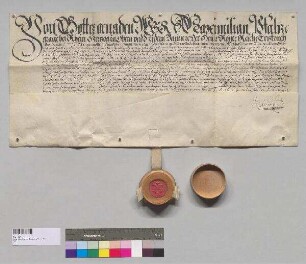 Kurfürst Maximilian [I.] von Bayern bestätigt dem Karmelitenkloster in Straubing seine Rechte, Privilegien und Freiheiten. S: Kurfürst Maximilian I. von Bayern