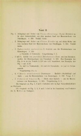 [Erläuterungen zu] Tafel II