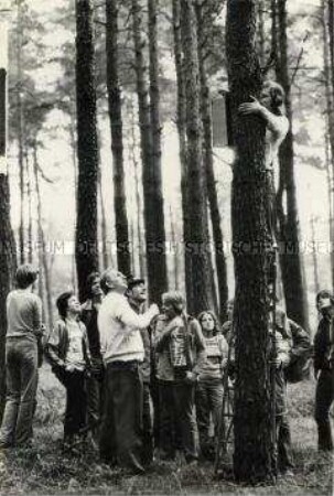 Gruppe junger Naturschützer im Wald