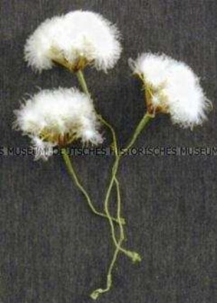 Kunstblume (Pusteblume)