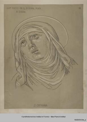 Kopf der Heiligen Katharina von Siena in Ekstase (nach Sodoma in San Domenico in Siena)