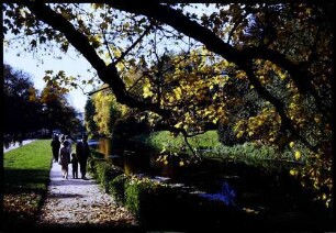 Donaueschingen: junge Donau, Uferweg mit Herbstbaum im Fürstlich Fürstenbergischen Park