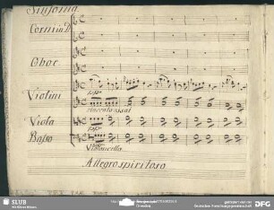 Einlage Sinfonia (Anonymus)