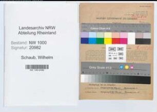 Entnazifizierung Wilhelm Schaub, geb. 24.10.1901 (Buergermeister)
