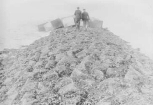 Leitdamm Borkum, Fischerbalje