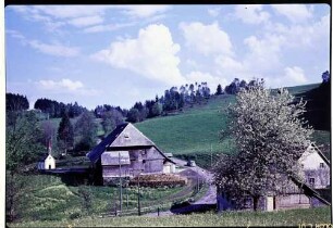 Hinterzarten: Schwarzwaldhof mit Kapellchen, mit Straße und Auto