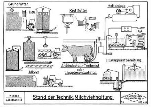 Stand der Technik, Milchviehhaltung