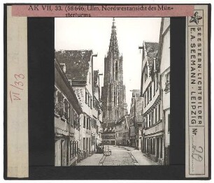 Ulm, Münster