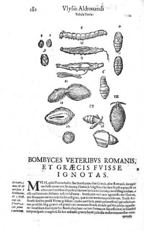 Tabula tertia