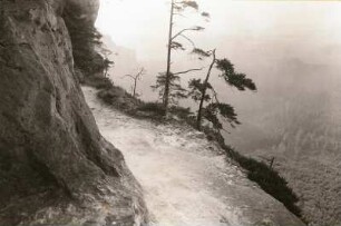 Elbsandsteingebirge. Frienstein (Vorderes Raubschloss). Schmaler Zugangsweg