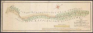 Plan über die Landgrenzlinie zwischen dem Herrschaft Mahlbergischen Sulzer Bann und Kippenheimer Genossenwald und der Herrschaft Hohengeroldseck