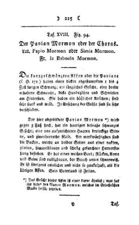 ¬Der¬ Pavian Mormon oder der Choras : Taf. XVIII, Fig. 94