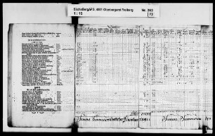 Revision des Bergamts Freiberg, Band 2