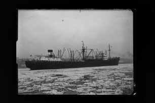 Braunfels (1952), Frachtschiff (reefer), D.D.G. "Hansa", Bau-Nr. 692