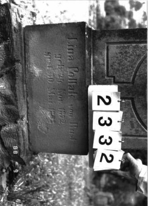 Grabstein 2332 (Index: 100097495) Maße HxBxT: 150x49x21 cm Symbolik: Rosenzweig: Grabstein 2332 (Detailaufnahme 2)