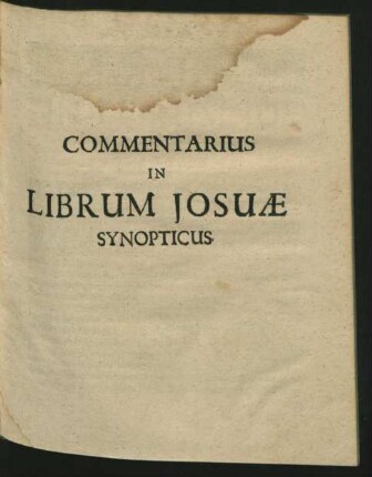 Commentarius In Librum Josuae Synopticus.