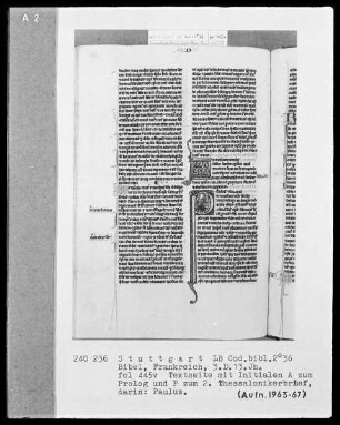 Bibel — Initiale P (aulus), darin der Apostel Paulus, Folio 445verso