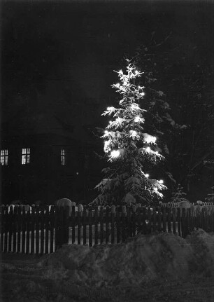 Winterbilder. "Christbaum für alle" (verschneiter Nadelbaum) Ansicht mit Beleuchtung