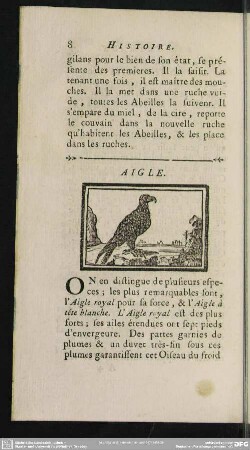 Aigle