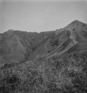 Berghang : Blick auf die bewachsenen Berghänge des Manengouba.