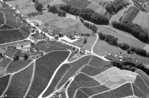 Durbach: Weinberge