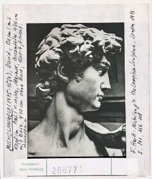 Michelangelo: David, Detail Kopf. Florenz, Akademie
