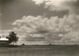 Hiddensee. Heidelandschaft zwischen Vitte und Neuendorf