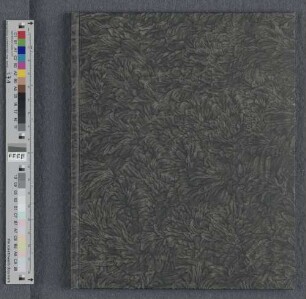 [Annotationes critico-philologicae in NT] : Cod. theol. 1349