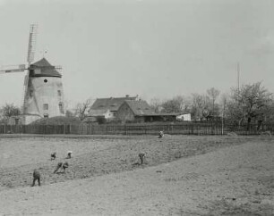 Leutewitzer Windmühle (Turmwindmühle) : Stadtteilansicht mit Leutewitzer Windmühle (Turmwindmühle)