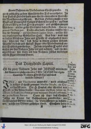 Das Dreyzehende Capitel.
