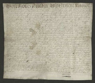 1744 Sept. 15. Lehnsbrief des Paderborner Erzbischofs Clemens August für Kleinsorgen.