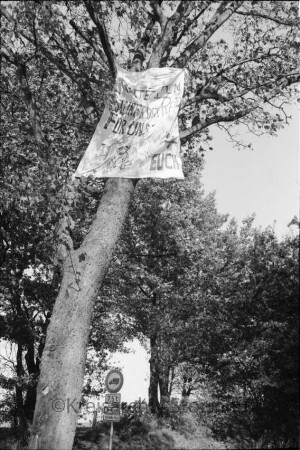 Lübecker Straße / Bundesstraße 75: Spruchband zur Rettung des Steinfelder Redders in Baum: dahinter Verkehrsschild und Bäume