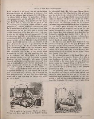 "Herrn Grafs Rheinreisetagebuch"