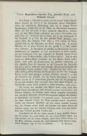 Ueber Haptoderus cognatus Dej., placidus Rosh. und Schmidti Chaud.