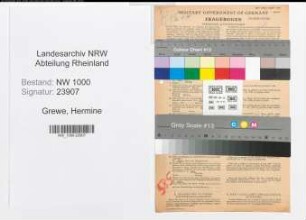 Entnazifizierung Hermine Grewe, geb. 15.11.1906 (Sekretaerin)