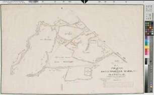 Borghorst (Steinfurt), Teilung der Ostendorfer Mark, Bl. 1 Reinkarte Osterholt