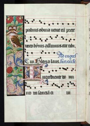 Bordüre, Zierintiale: I(ngrediente domino), Eule, Vögel, Rosen