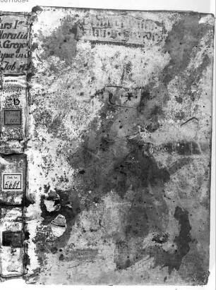 Gregorii Moralium in Job libri I-V - BSB Clm 5601