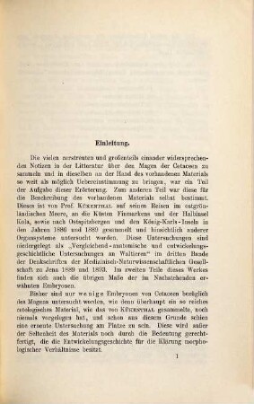 Der Magen der Cetaceen