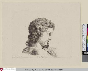 [Kopfstudie eines jungen Mannes mit lockigem Haar im Profil; Tête de jeune homme, de profil à droite ...; Study of the head of a young man]