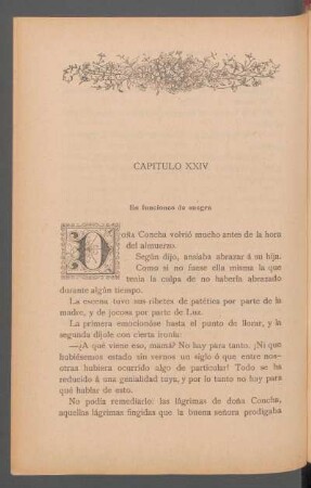 Capítulo XXIV - En funciones de suegra