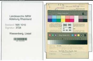 Entnazifizierung Liesel Wassenberg , geb. 22.04.1920 (Dolmetscherin)
