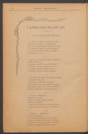 Camelias blancas. : A la señorita Elisa Markoe.