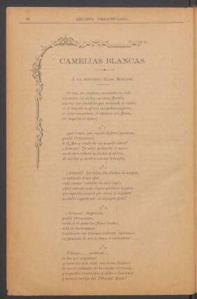 Camelias blancas. : A la señorita Elisa Markoe.